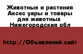 Животные и растения Аксесcуары и товары для животных. Нижегородская обл.